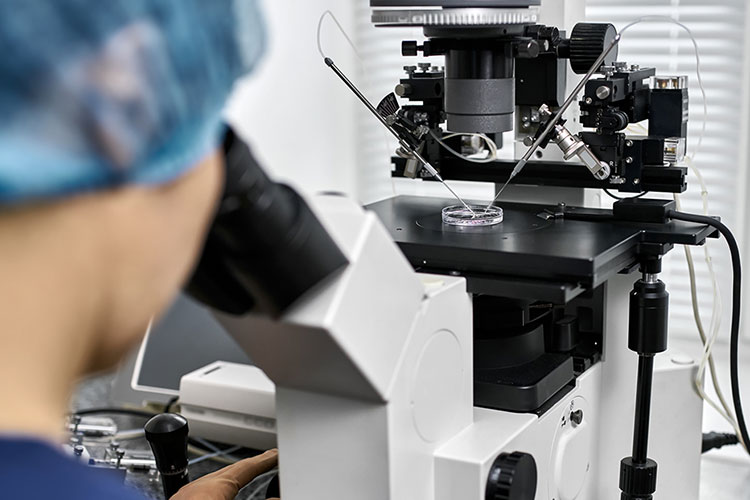 顕微授精イメージ